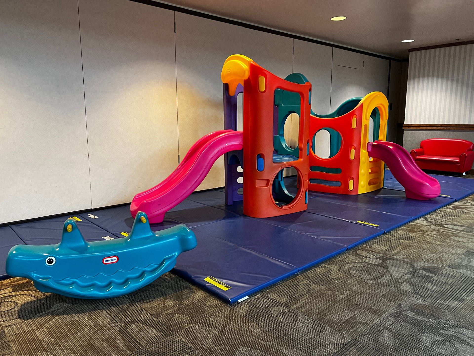Gym and Play Area